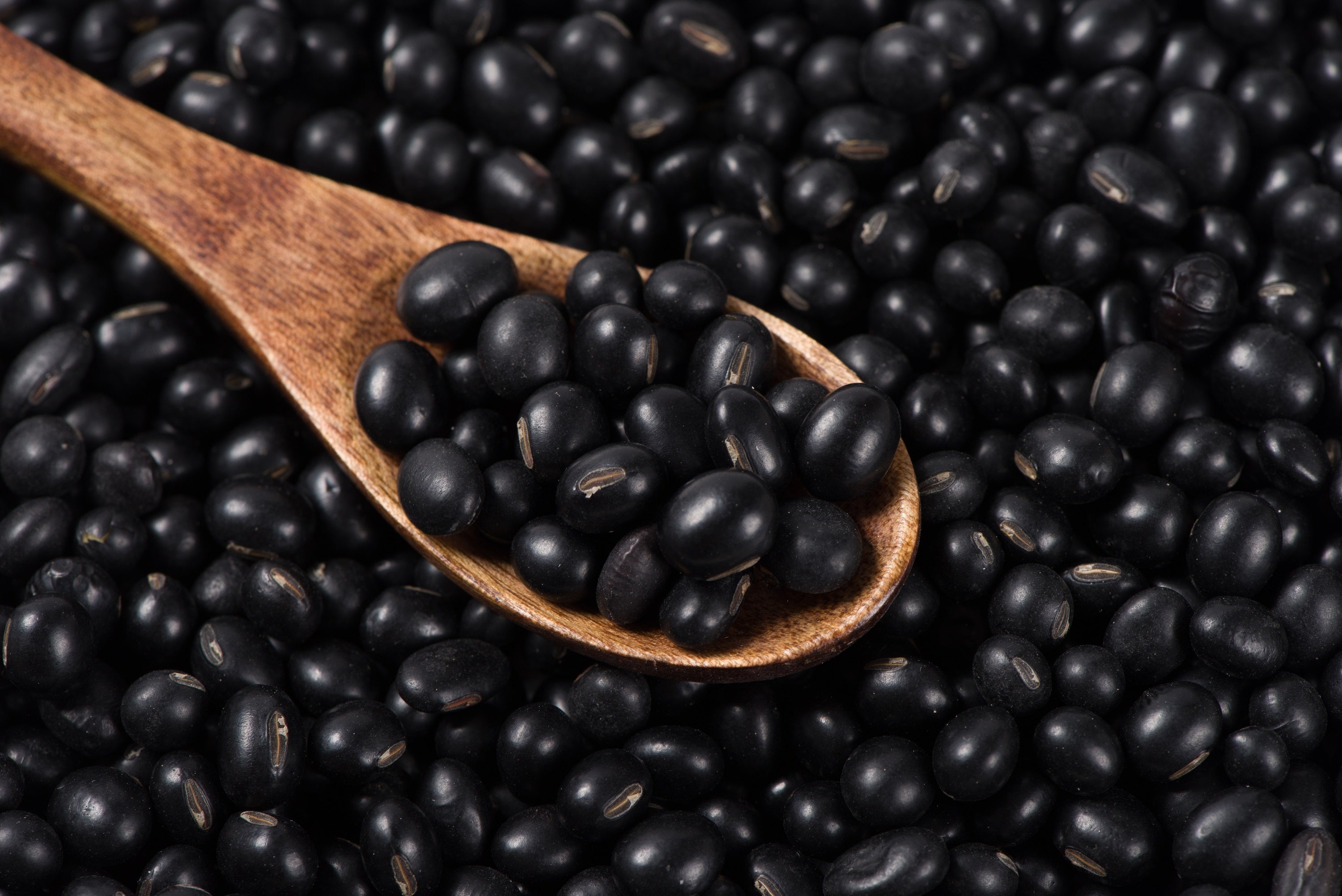 25 Sweet BLACK JET SOYBEAN Edamame Bean Glycine Max Vegetable Legume Seeds