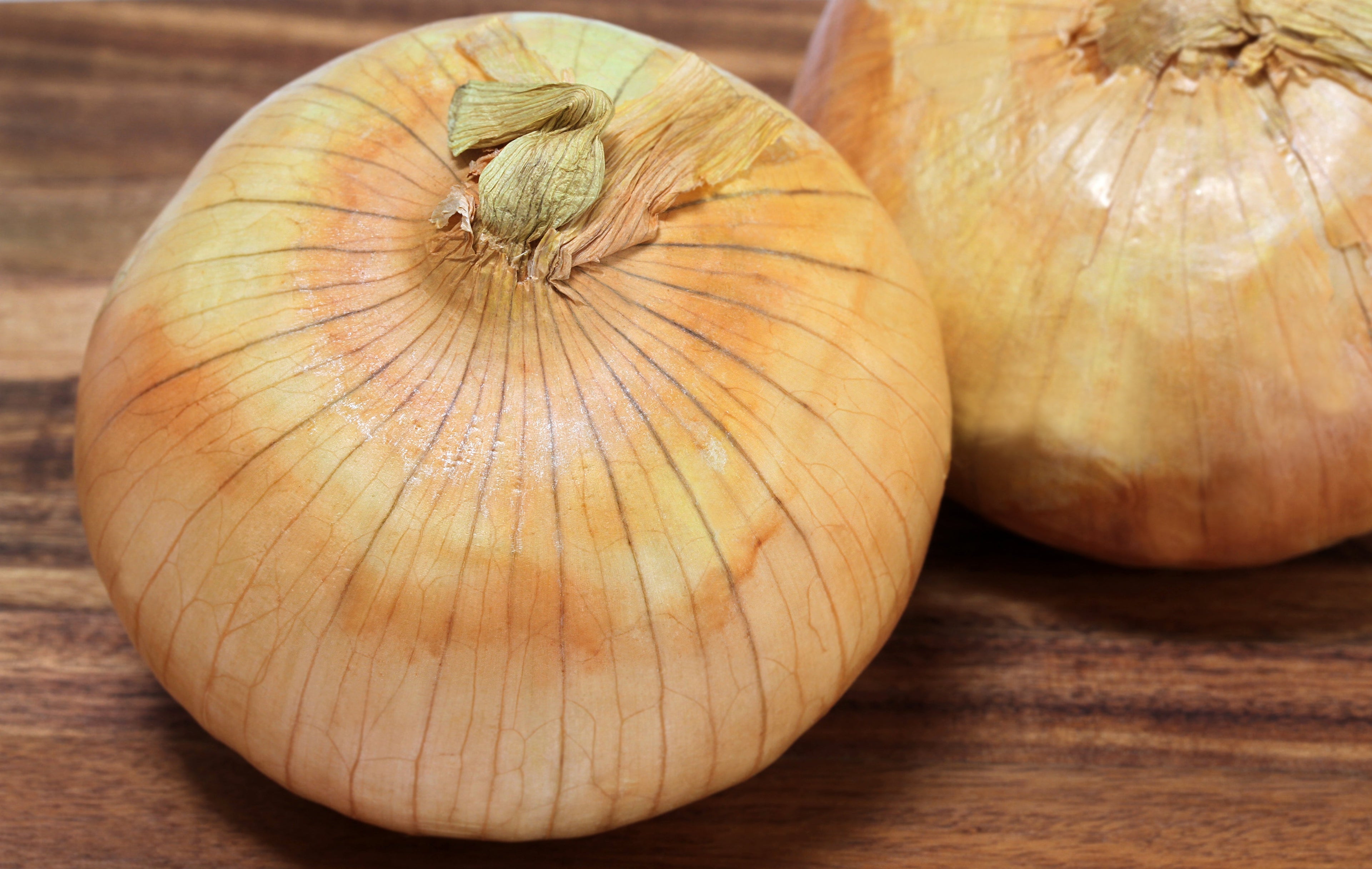 400 Texas EARLY GRANO ONION Large Sweet Yellow Allium Cepa Vegetable Seeds