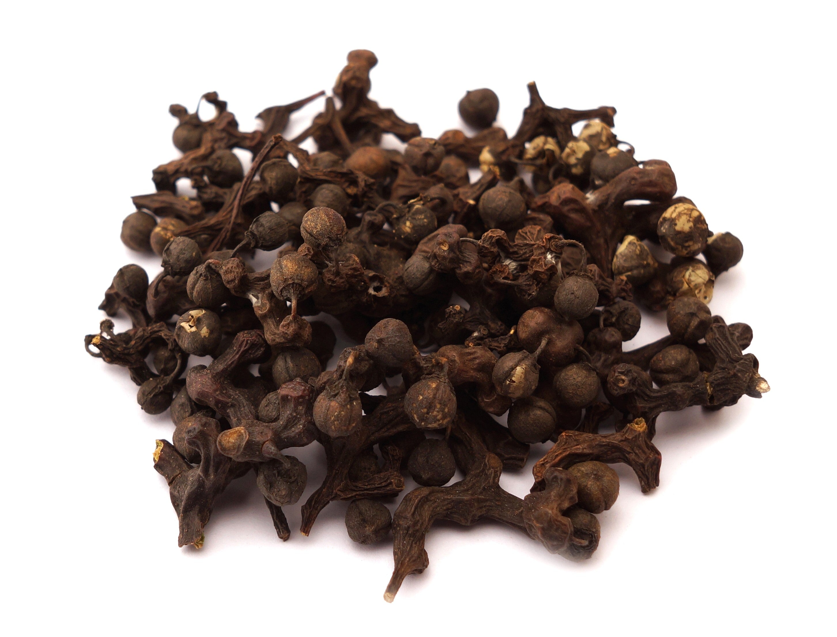 25 JAPANESE RAISIN TREE Edible Fruit Oriental Honey Flowers Hovenia Dulcis Seeds