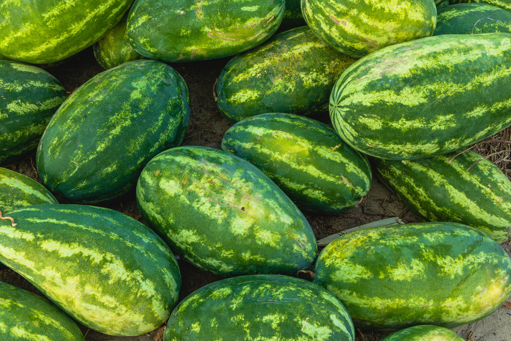 20 CAL SWEET Supreme WATERMELON Red Citrullus Lanatus 30 lb Melon Fruit Seeds