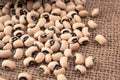 100 BLACKEYE PEA (Cow Pea / Cowpea / Southern Pea / Blackeyed Pea / Black Eye Pea) Vigna Unguiculata Vegetable Seeds