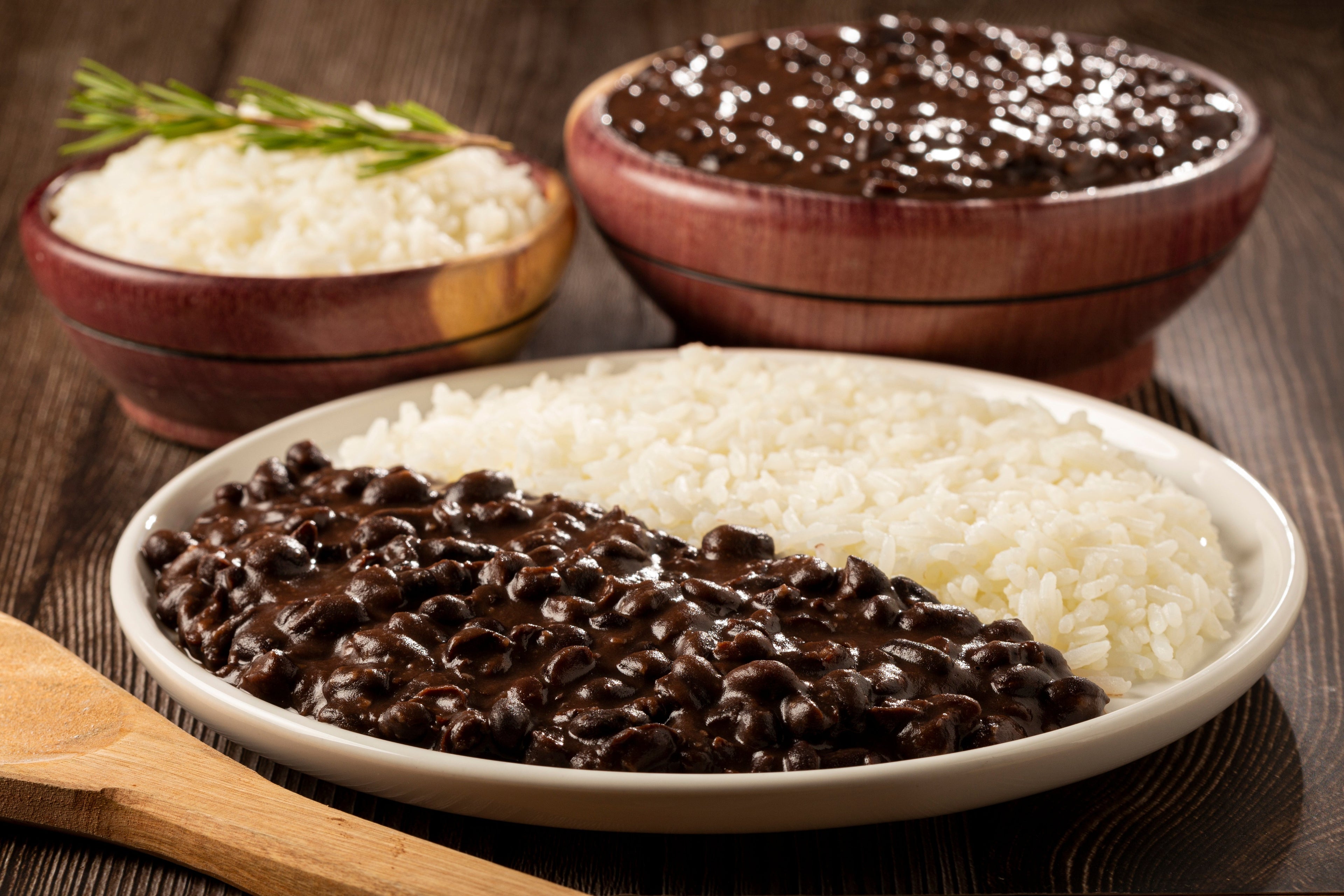 50 BLACK BEAN (Black Turtle Bush Bean) Phaseolus Vulgaris Vegetable Seeds