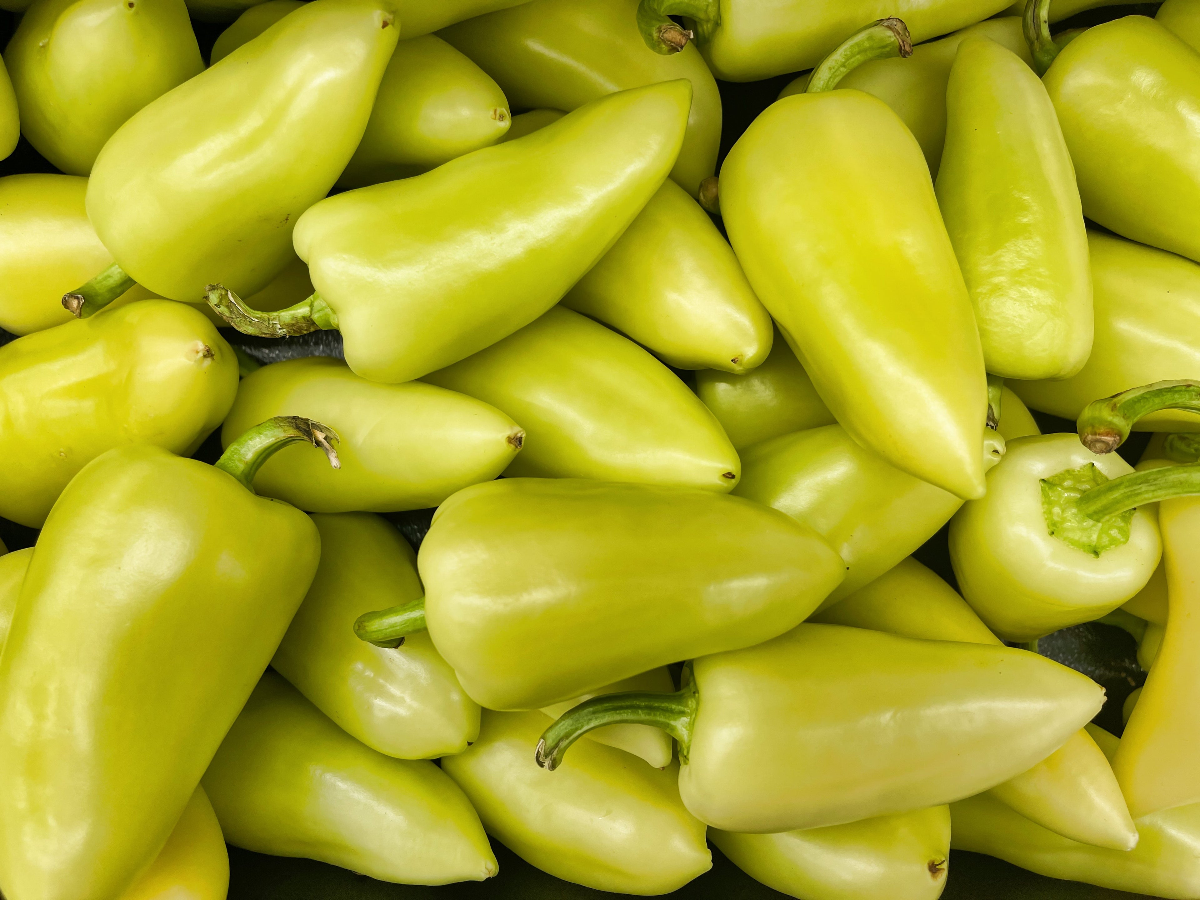 200 SANTA Fe GRANDE PEPPER (Guero Chili Pepper / Yellow Hot Chili Pepper) Capsicum Annuum Vegetable Seeds