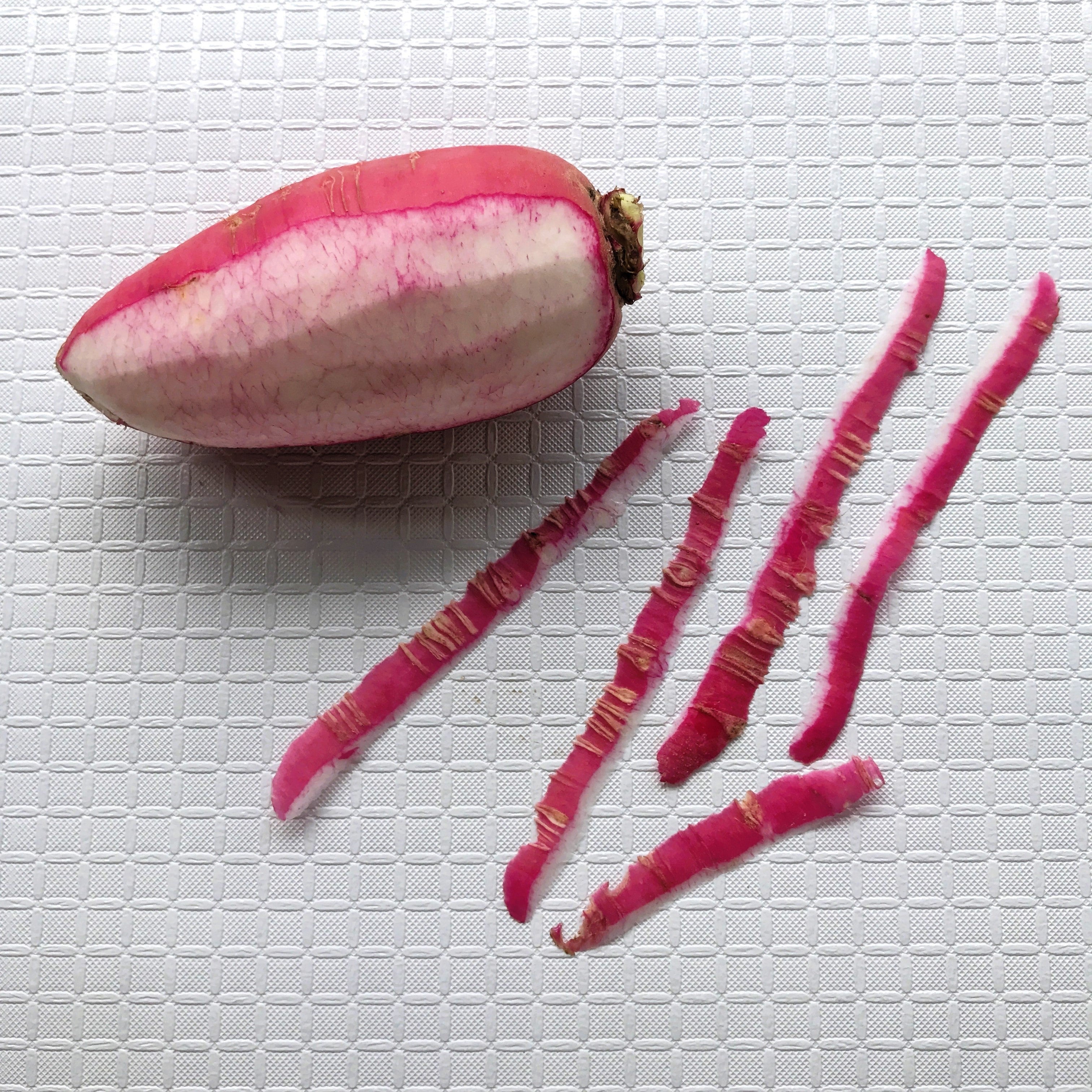100 CHINA ROSE RADISH (Chinese Winter Radish) Raphanus Sativus Vegetable Seeds