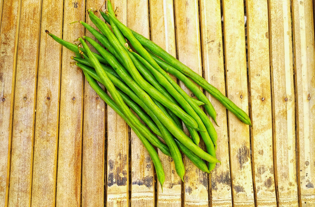 50 FRENCH Blue Lake POLE BEAN Phaseolus Vulgaris Vegetable Seeds