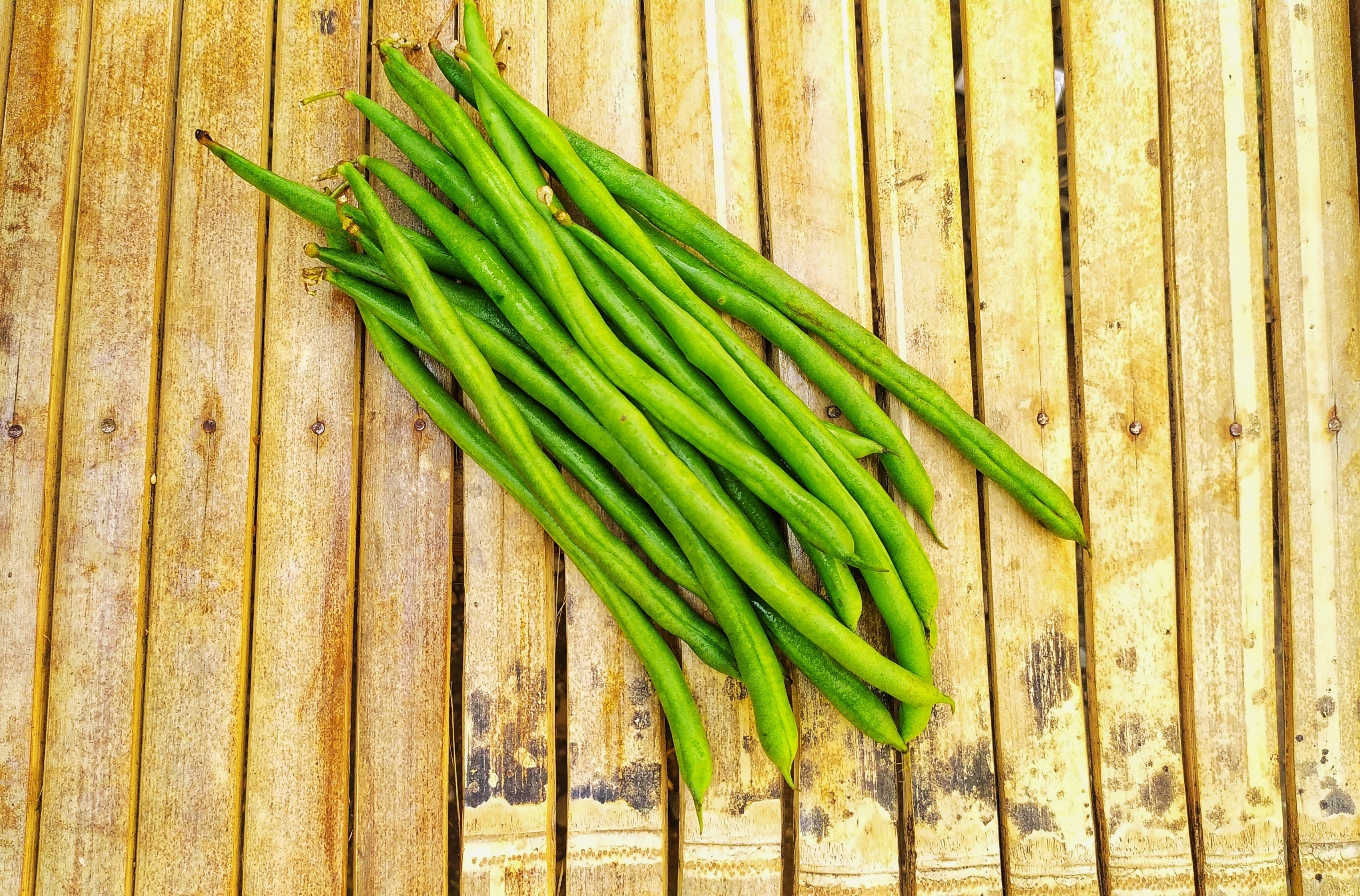 50 FRENCH Blue Lake POLE BEAN Phaseolus Vulgaris Vegetable Seeds
