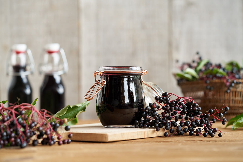 25 American ELDERBERRY FRUIT BUSH Shrub Tree Sambucus Nigra Canadensis Seeds