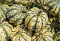 15 HEART Of GOLD Acorn SQUASH Winter Cucurbita Pepo Vegetable Seeds