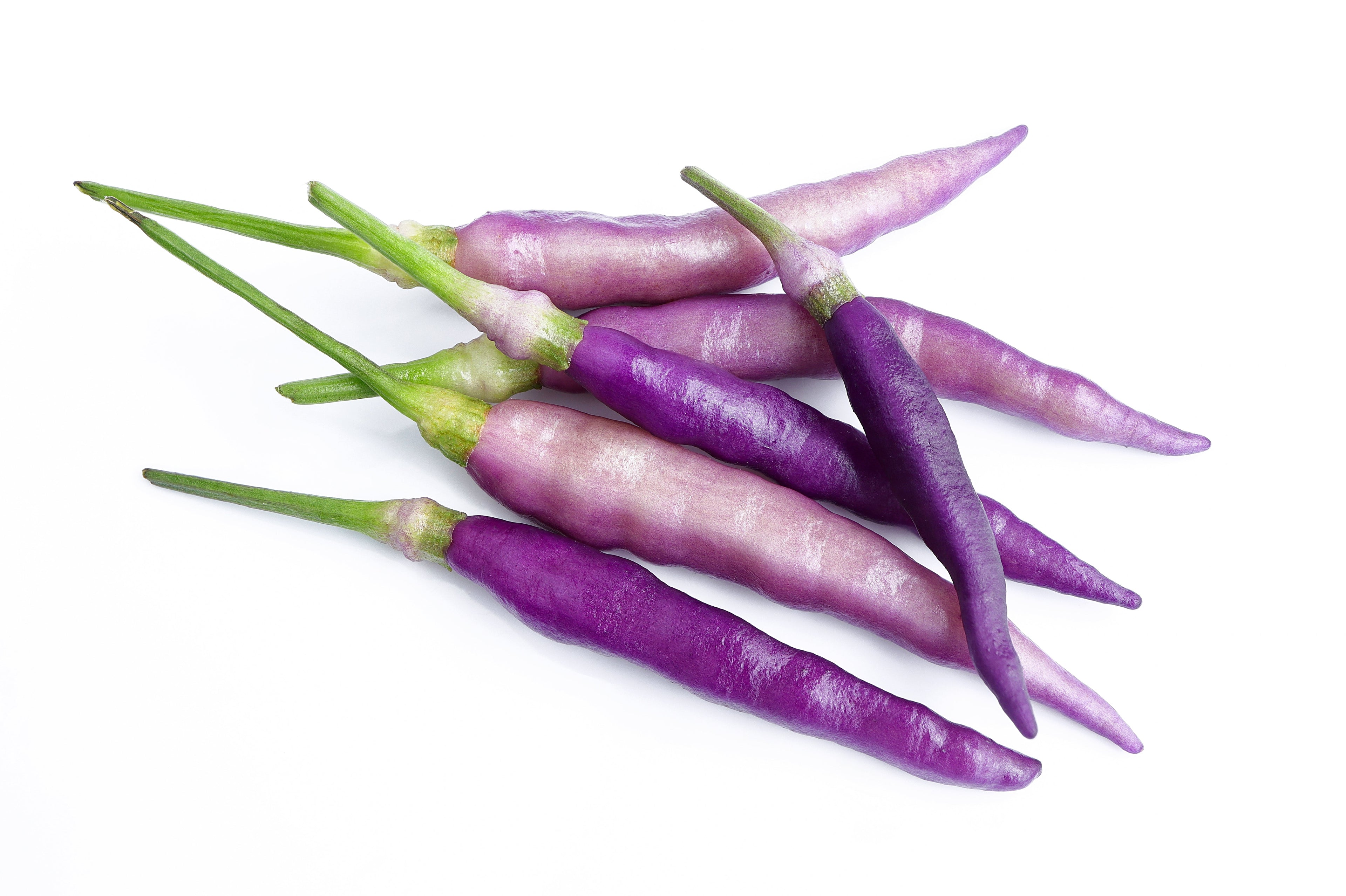 50 PURPLE CAYENNE PEPPER Hot Capsicum Annuum Vegetable Seeds