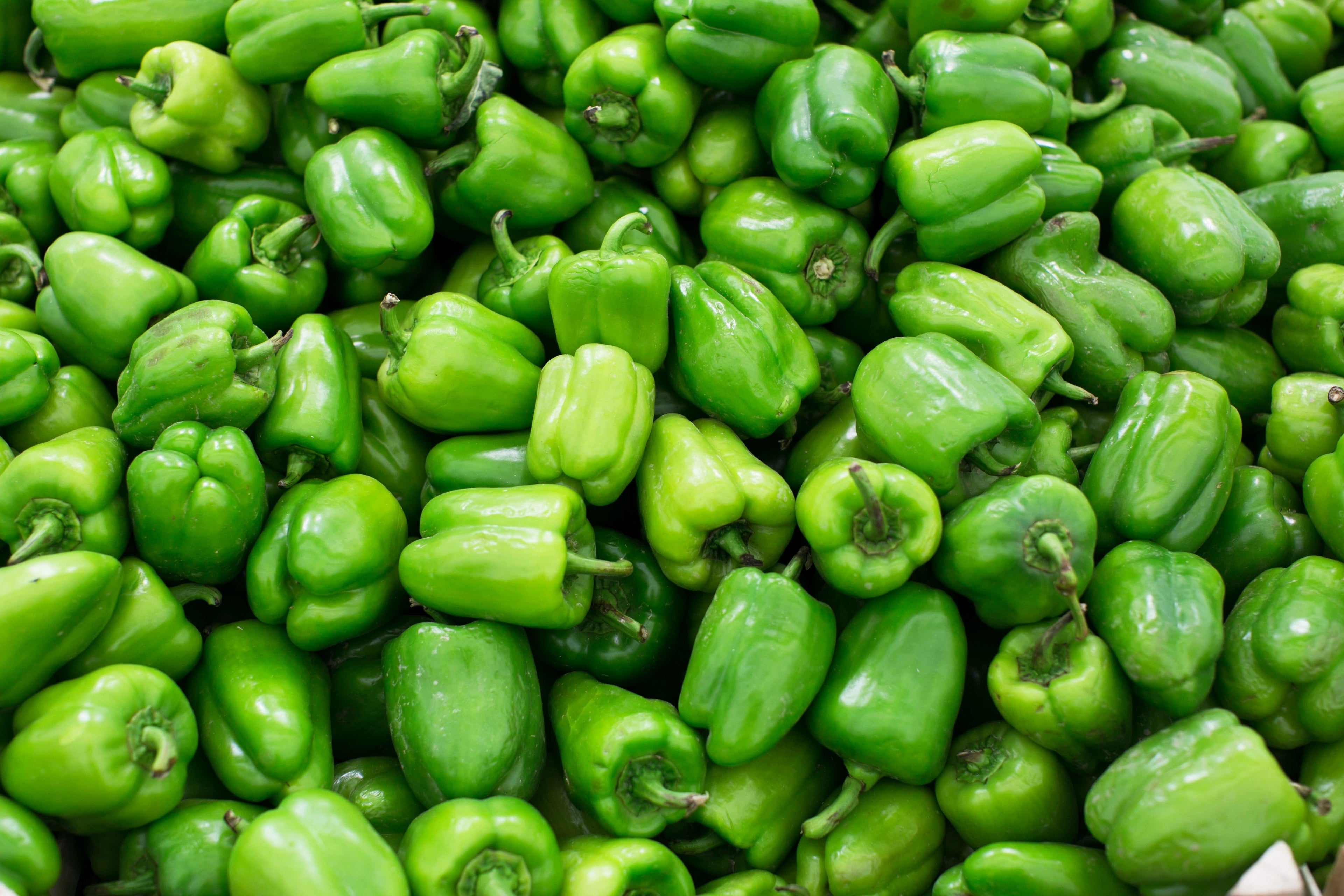 200 Sweet Green CALIFORNIA WONDER Bell PEPPER Capsicum Annuum Vegetable Seeds
