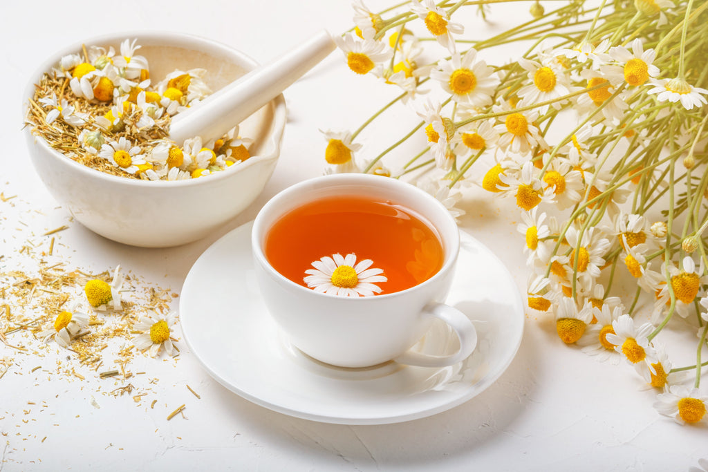 1000 GERMAN CHAMOMILE Matricaria Recutita Chamomilla Herb Flower Seeds