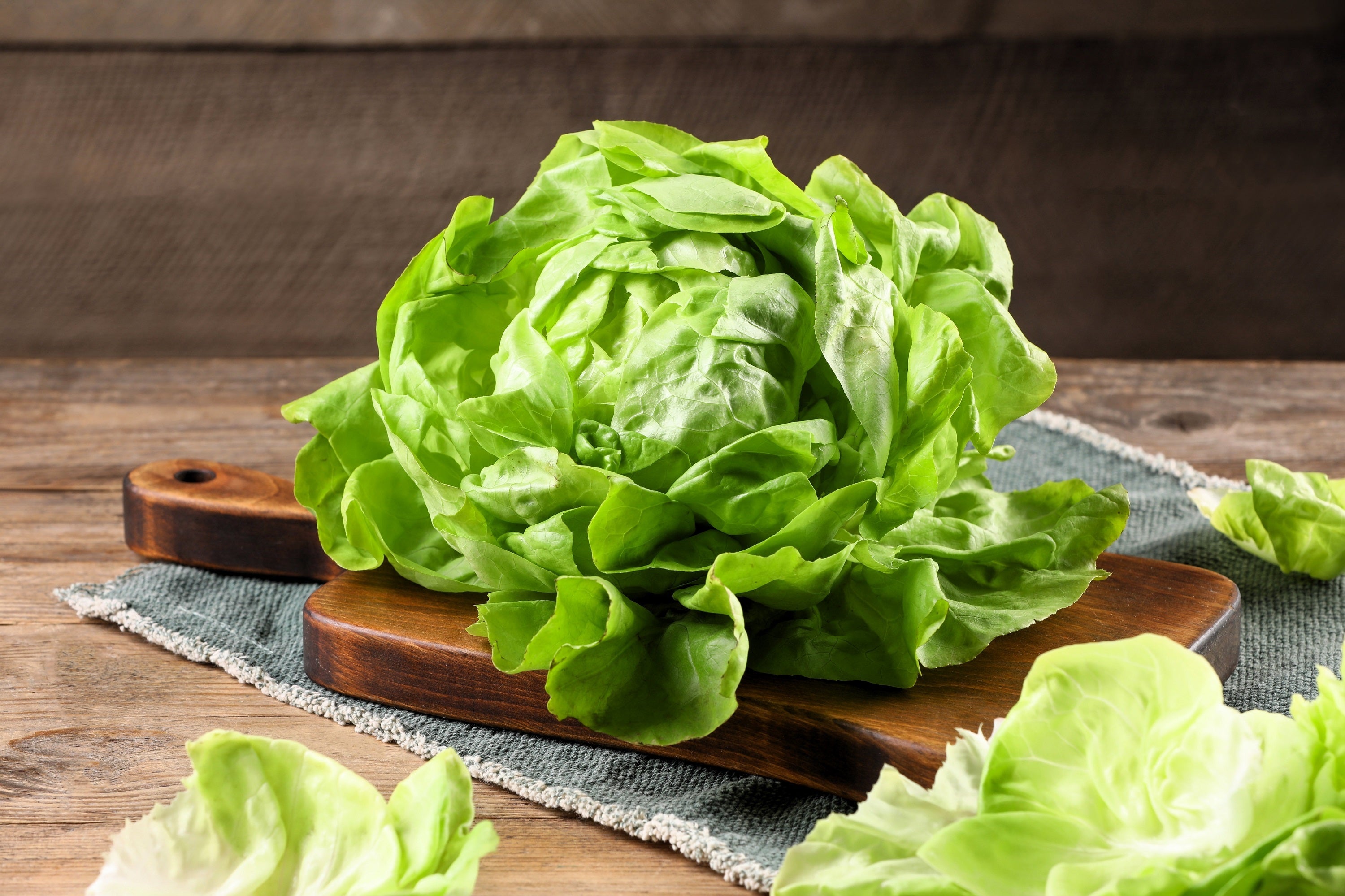 3000 WHITE BOSTON LETTUCE 12" Green Butterhead Lactuca Sativa Vegetable Seeds