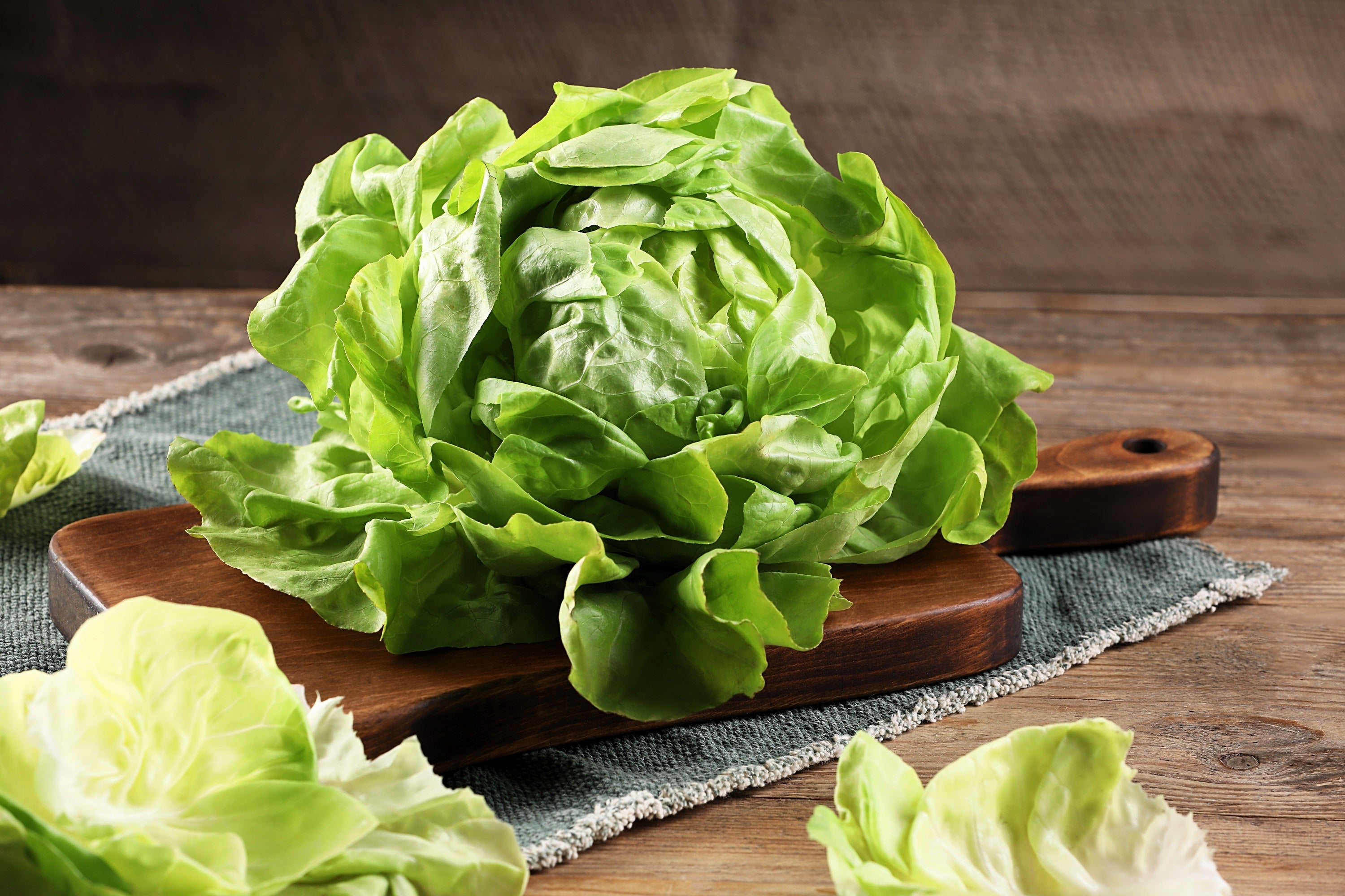 3000 BUTTERCRUNCH LEAF LETTUCE Lactuca Sativa Vegetable Seeds