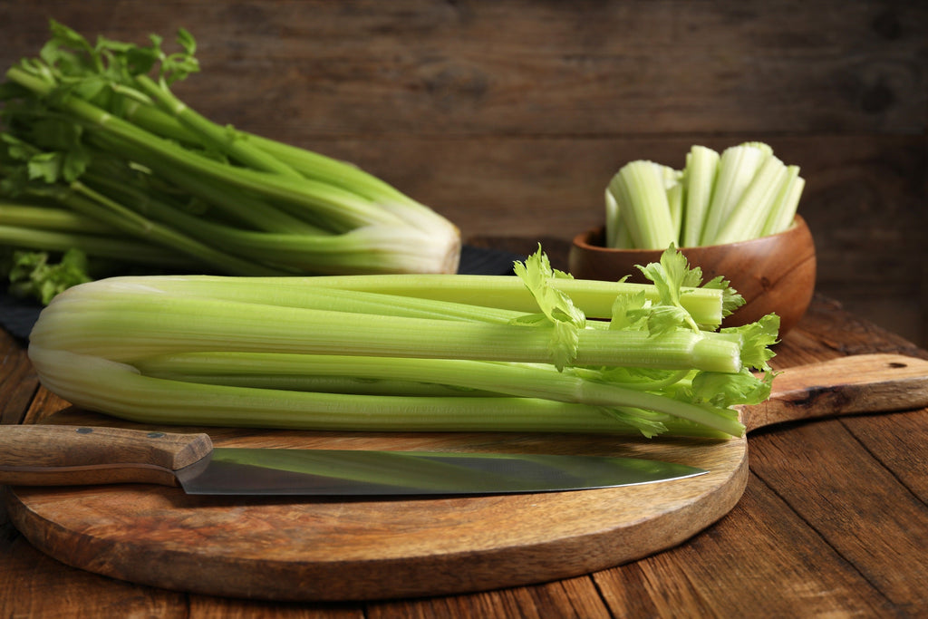 1000 TENDERCRISP CELERY Stalks & Leaves Apium Graveolens Vegetable Seeds
