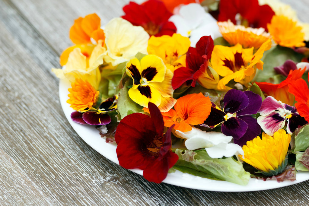 EDIBLE FLOWER MIX Seeds - 16 Types: Marigold Daisy Viola Safflower Aly ...