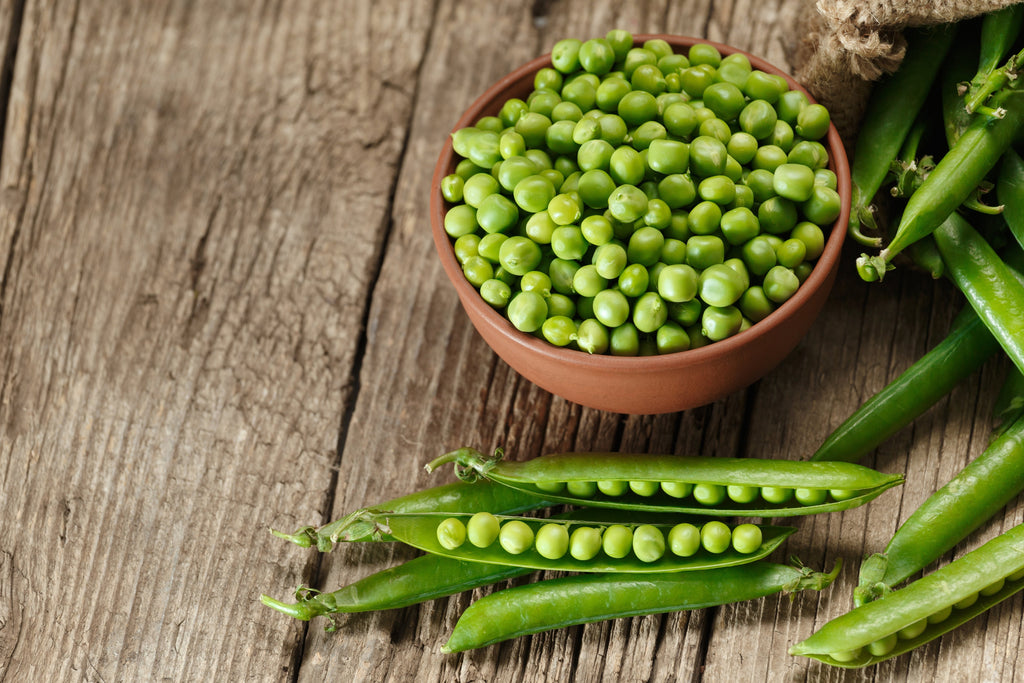 50 Early FROSTY GARDEN PEA English Shelling Pisum Sativum Vegetable Seeds