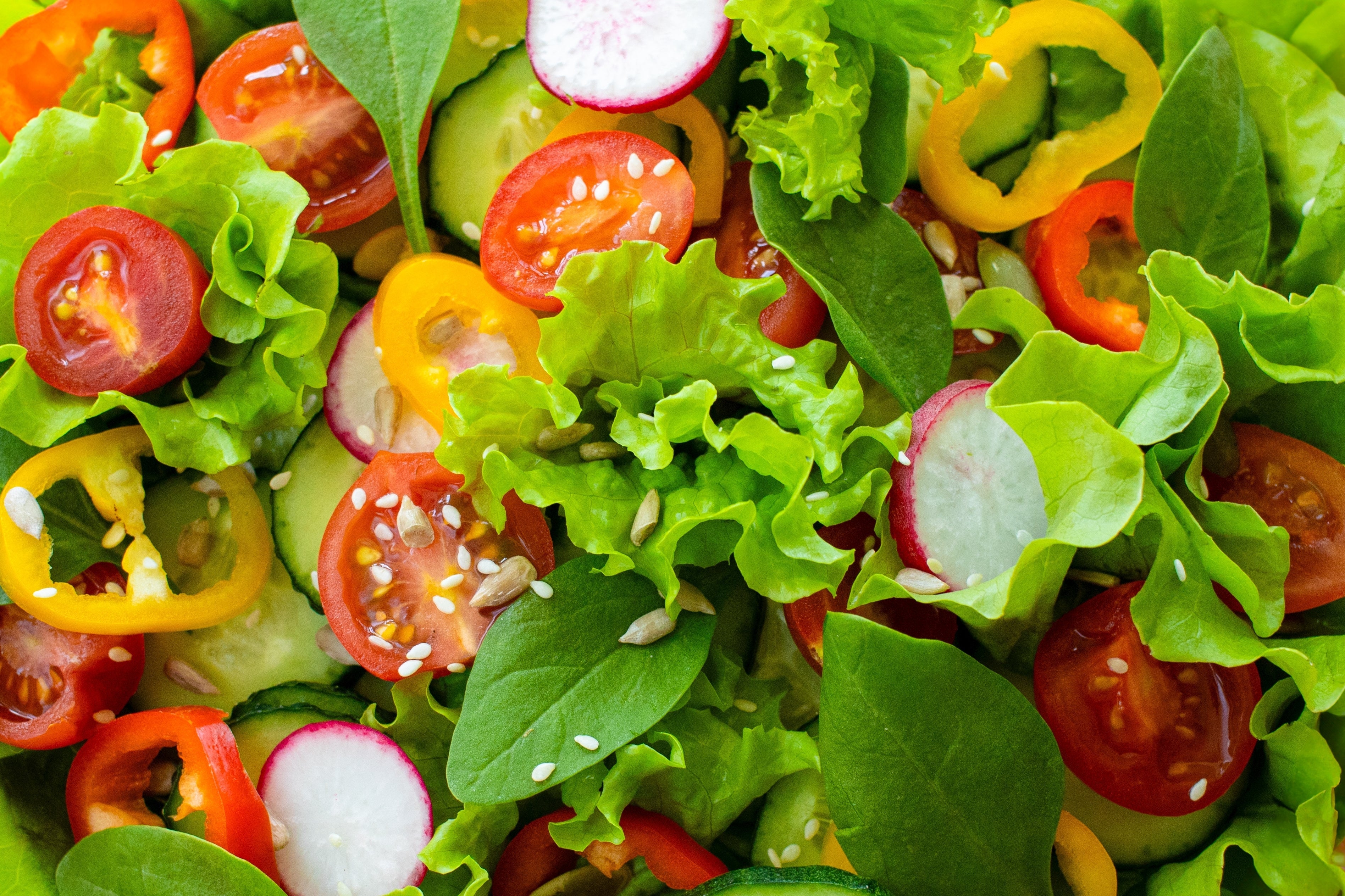 3000 Loose Leaf Green GRAND RAPIDS LETTUCE Lactuca Sativa Vegetable Seeds