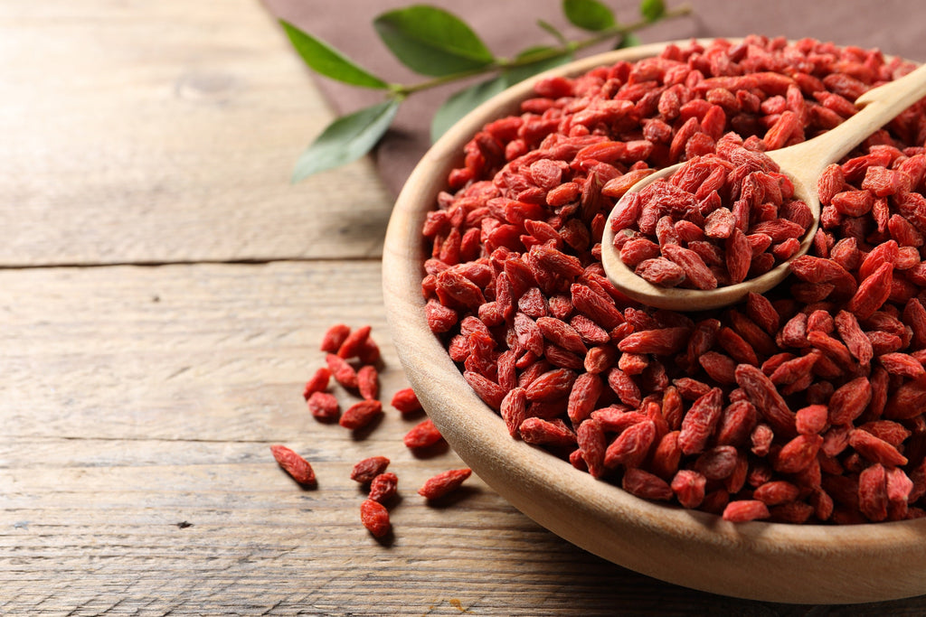 100 HIMALAYAN Tibetan GOJI BERRY Fruit Wolfberry Bush Lycium Barbarum Seeds