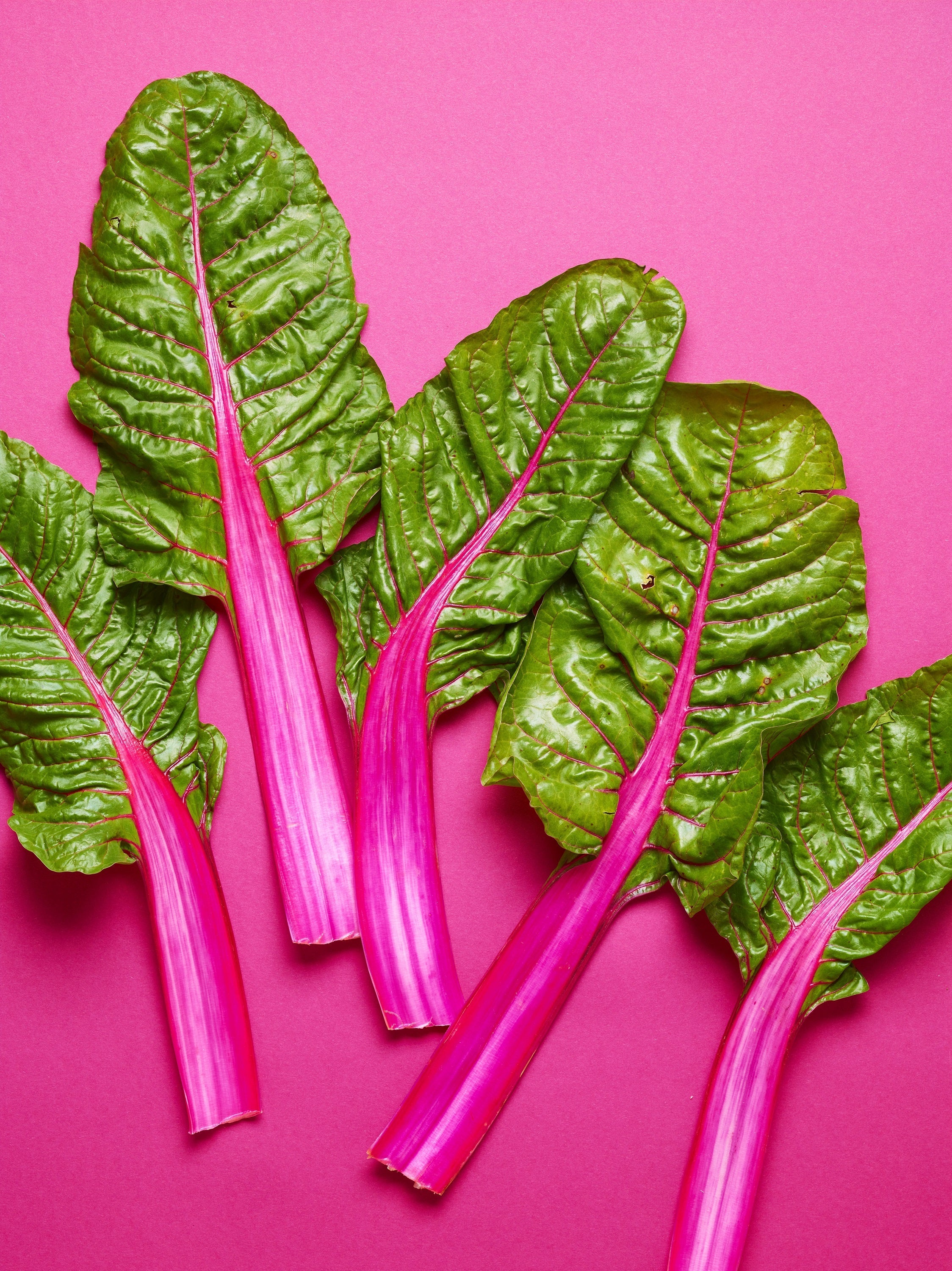 Pink Ravia Vegetable 40 PINK LIPSTICK SWISS CHARD Vegetable Seeds Perpetual Spinach Beta Vu ...