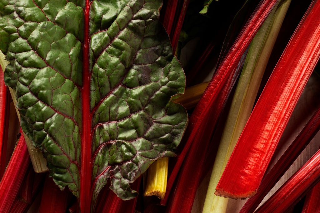 300 RHUBARB RED SWISS CHARD Perpetual Spinach Beta Vulgaris Vegetable Seeds