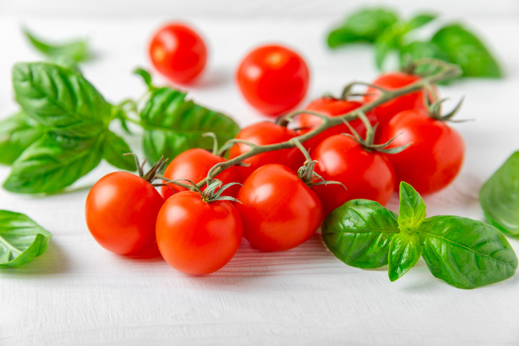 300 SMALL Red CHERRY TOMATO Lycopersicon Lycopersicum Fruit Vegetable Seeds