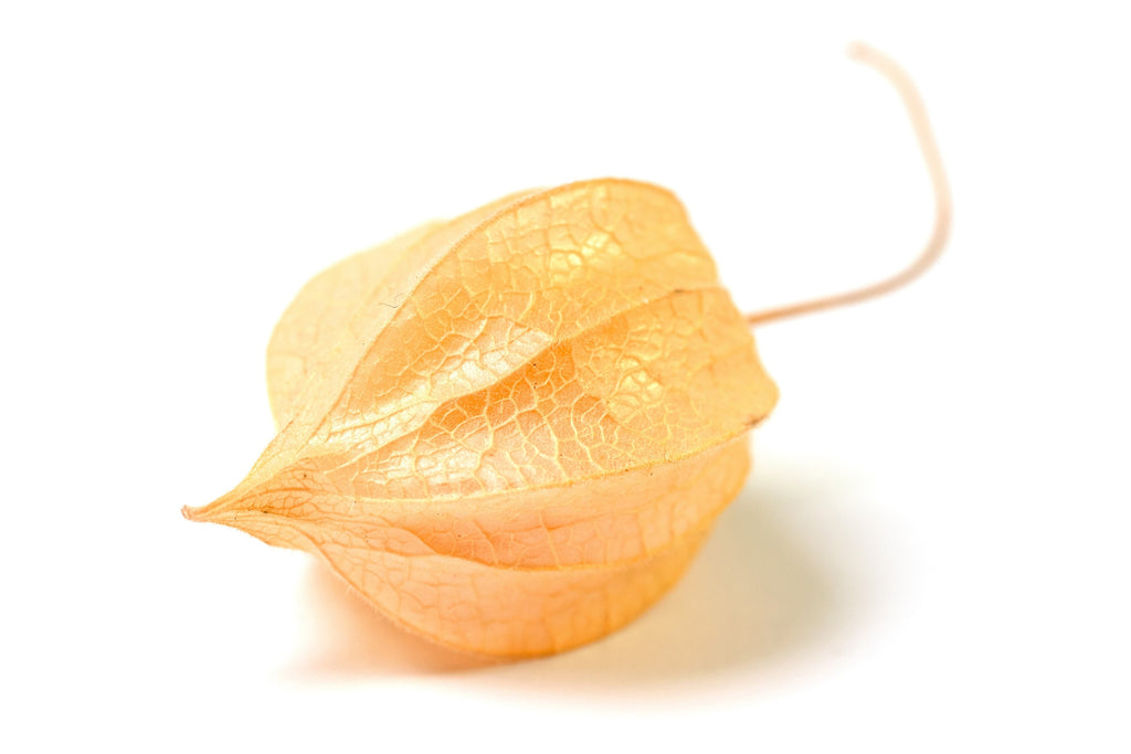 200 Organic GROUND CHERRY Physalis Pruinosa ( Golden Strawberry / Chinese Lantern ) Vegetable Seeds