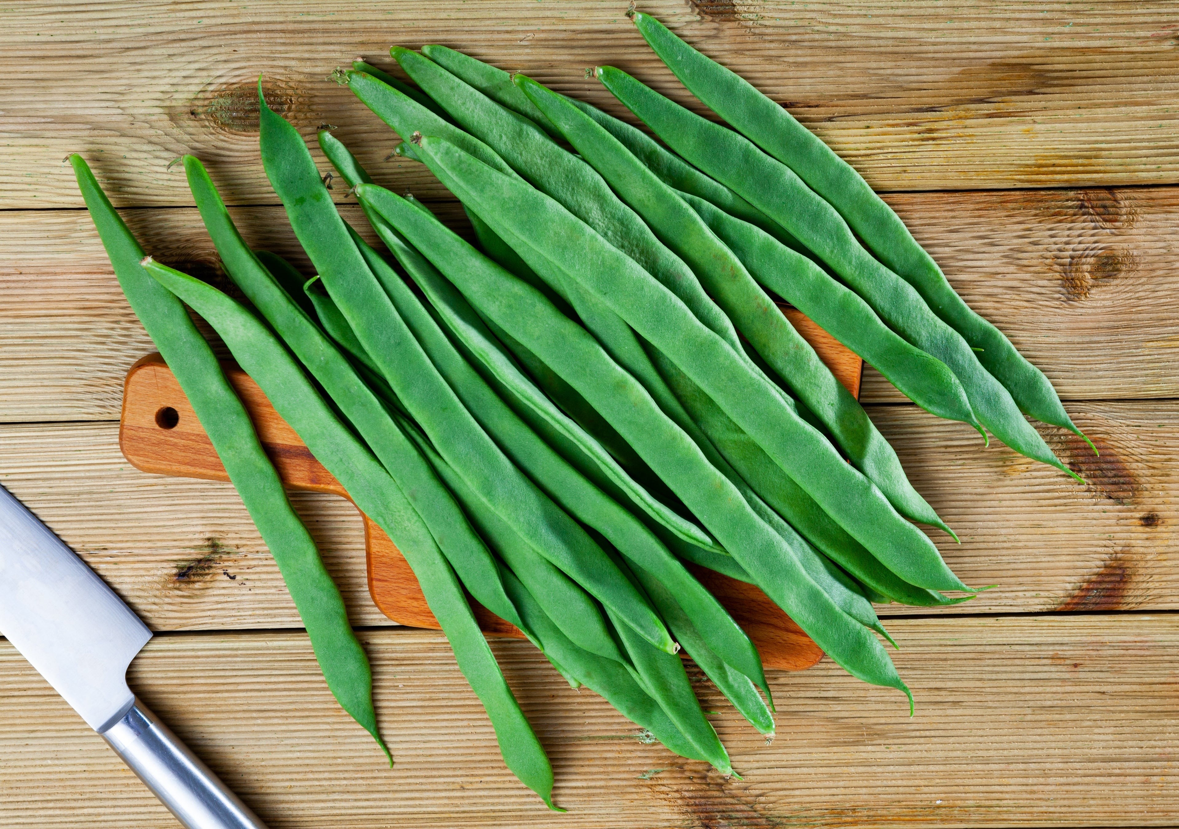 50 ROMANO BUSH BEAN Italian Flat Green Pod Phaseolus Vulgaris Vegetable Seeds