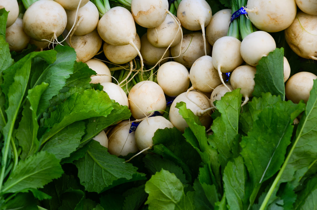 500 Hailstone WHITE GLOBE RADISH Raphanus Sativus Vegetable Seeds