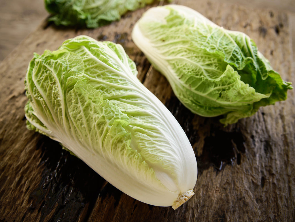 500 MICHIHILI CABBAGE Napa (Chinese Cabbage / Bok Choy / Pak Choi / Celery Mustard / Chinese Chard) Brassica Rapa Chinensis Vegetable Seeds