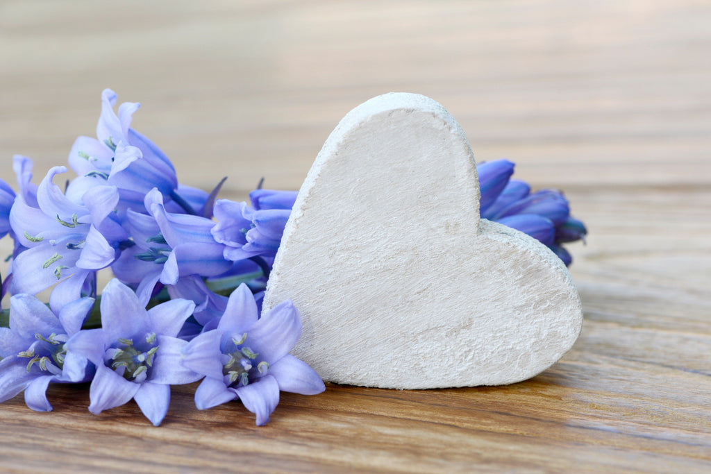 10 WOOD HYACINTH Mixed Colors English Woodland Spanish Bluebell Scilla Campanulata Hyacinthoides Hispanica Pink Purple White Flower Seeds