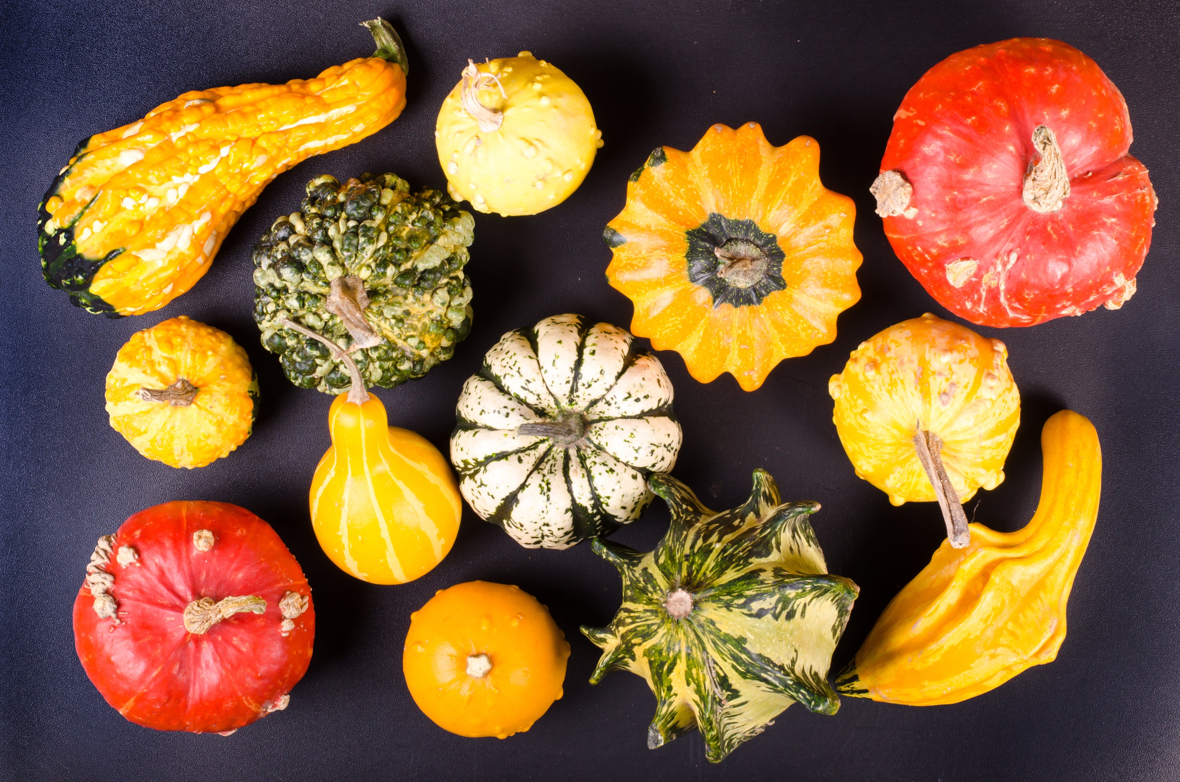 30 MIXED GOURD Lagenaria Siceraria Seeds