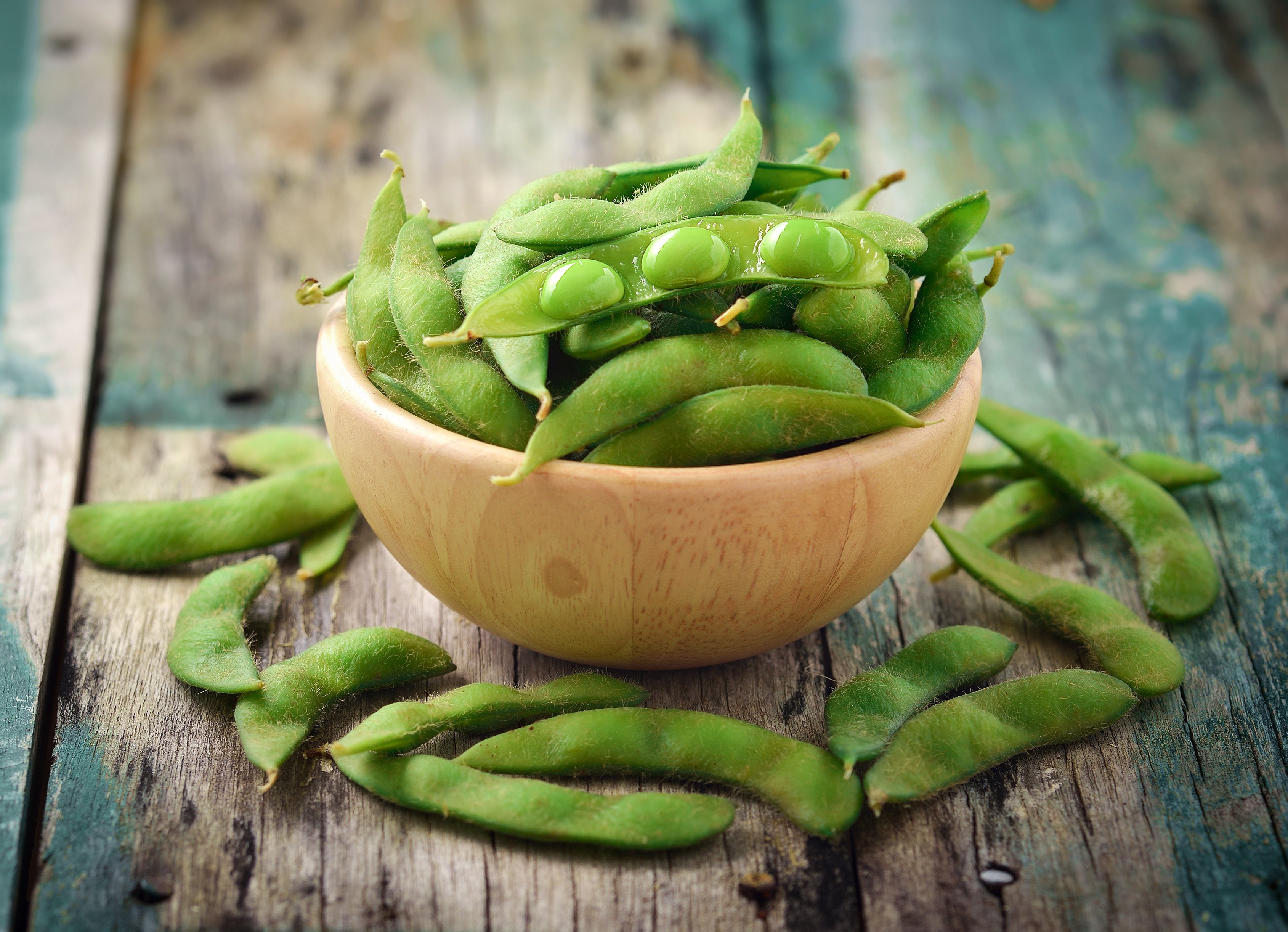 25 Sweet BLACK JET SOYBEAN Edamame Bean Glycine Max Vegetable Legume Seeds