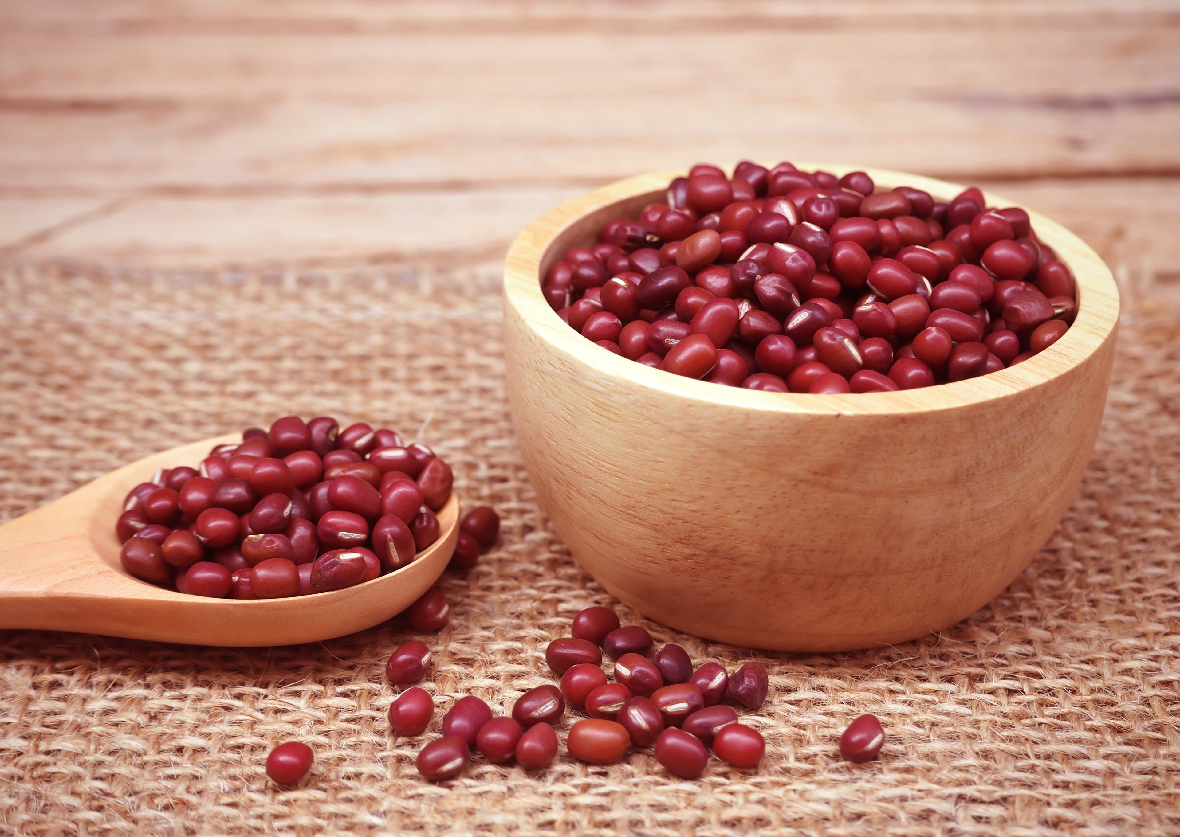 50 ADZUKI BEAN Aduki Red Bean Maroon Phaseolus Angularis Legume Vegetable Seeds