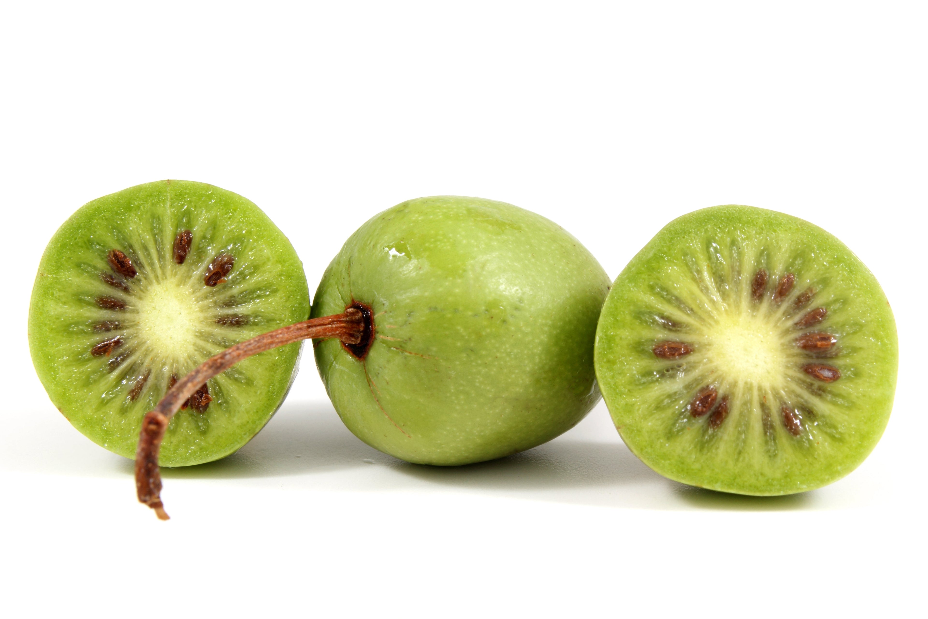 20 Variegated ARCTIC BEAUTY KIWI Fruit Edible Actinidia Kolomikta Vine Seeds