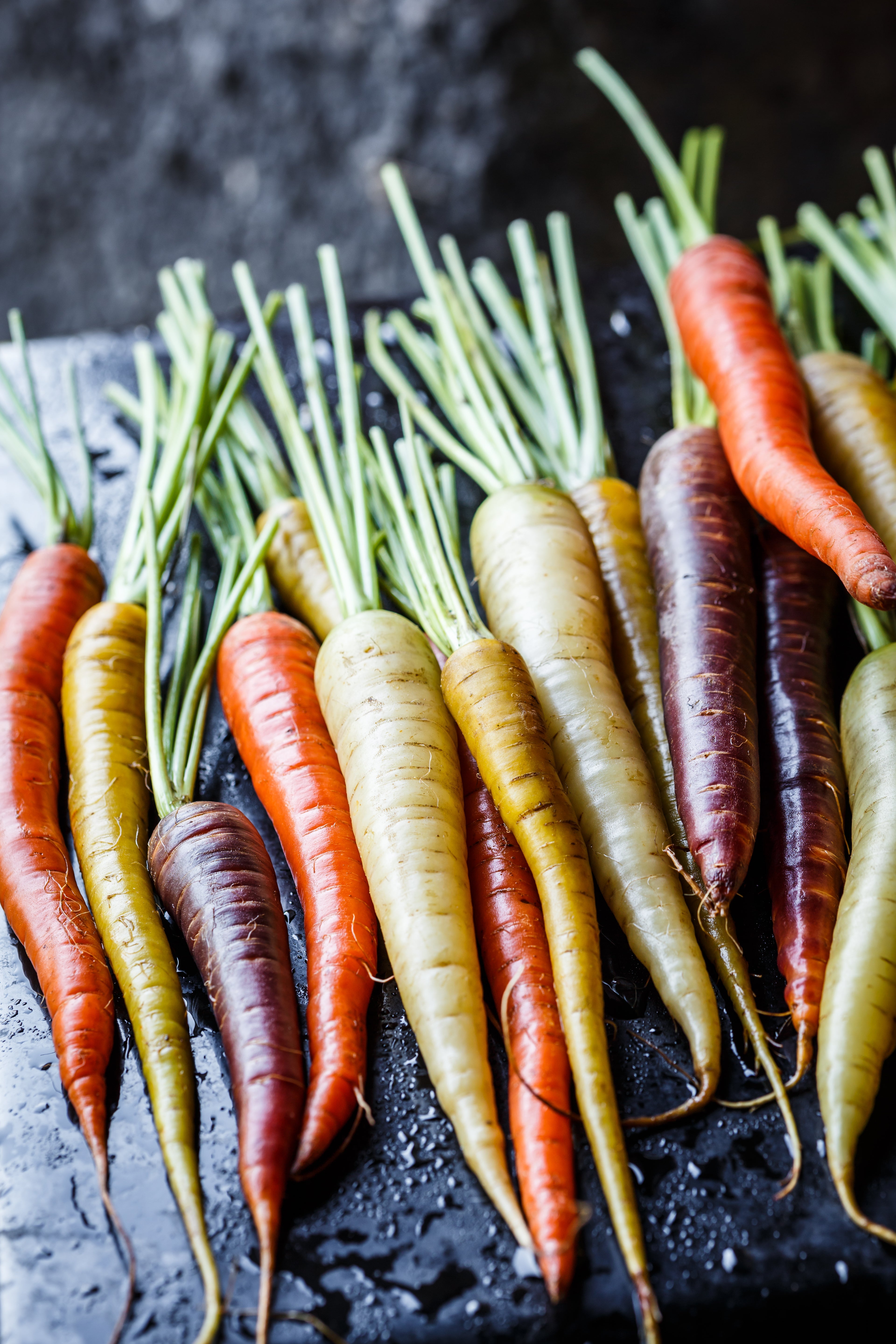 500 RAINBOW CARROT MIX White Red Yellow Purple Orange Daucus Carrota Seeds
