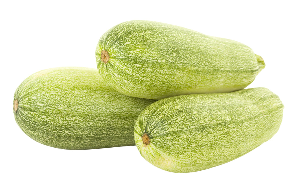 30 GRAY ZUCCHINI Heirloom Summer Bush Squash Cucurbita Pepo Vegetable Seeds