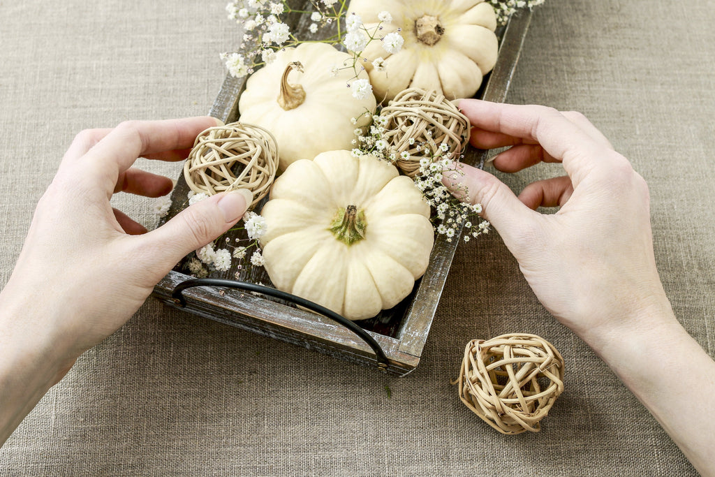 15 WHITE Baby Boo MINI PUMPKIN Miniature Cucurbita Pepo Vegetable Seeds