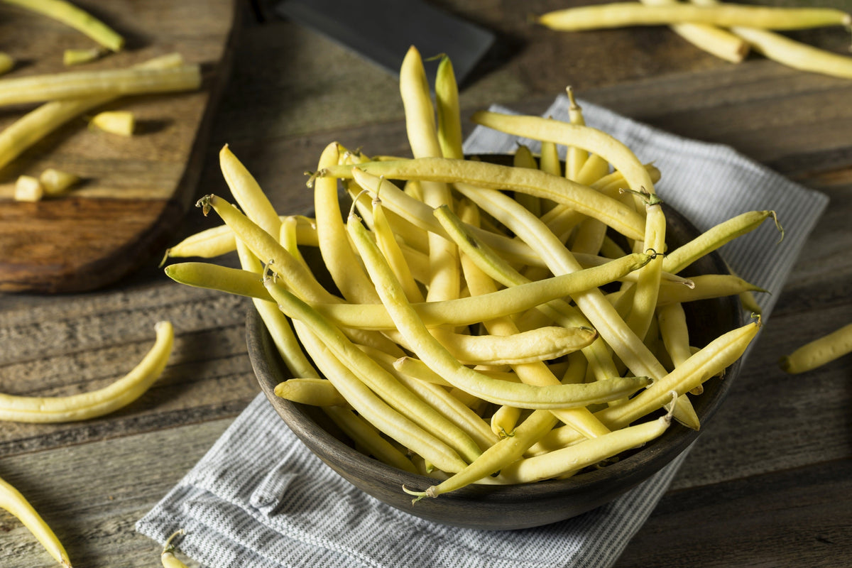 Netre Bhena 25 GOLDRUSH GREEN BEAN Bright Yellow Wax Bean Phaseolus Vulgaris Veget ...