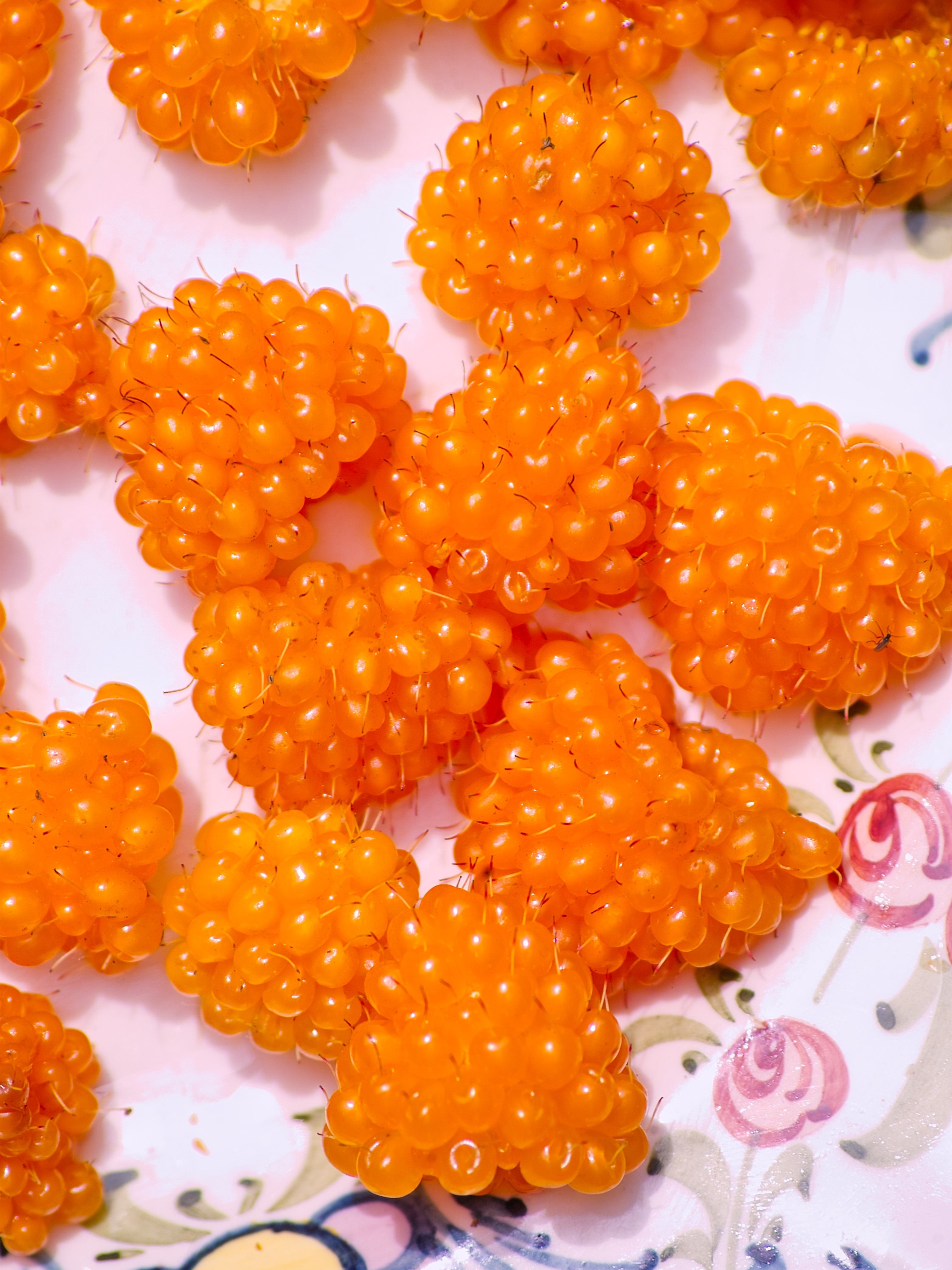 20 SALMONBERRY RUSSIAN RASPBERRY Rubus Spectabilis Fruit Seeds Purple Flowers