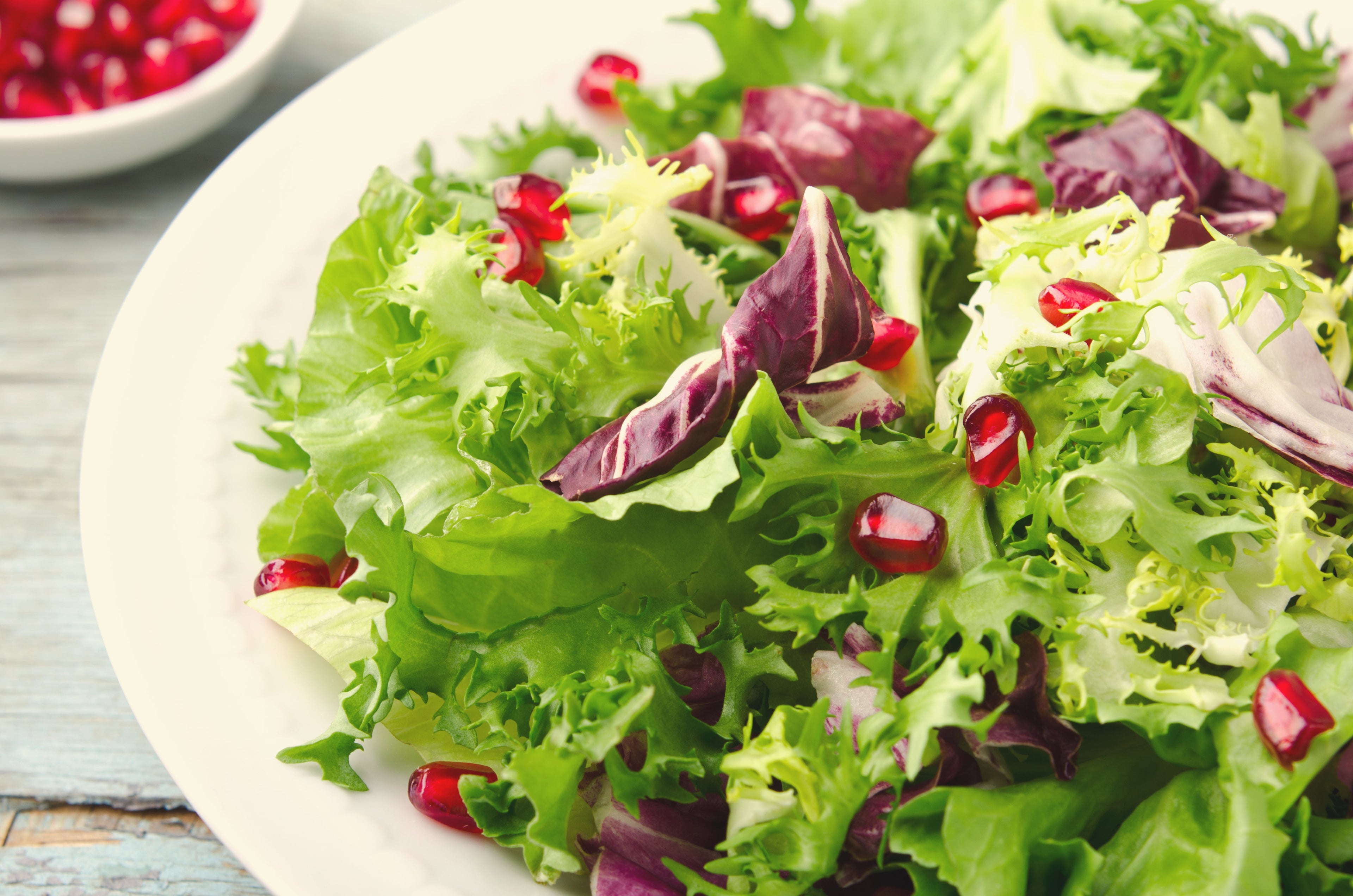 3000 GREEN CURLED ENDIVE (Frisée / Salad Endive / Moss Curled Endive / Escarole) Cichorium Endivia Vegetable Seeds