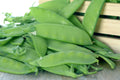 50 Oregon SUGAR POD II Pea Pisum Sativum Macrocarpon Vegetable Seeds