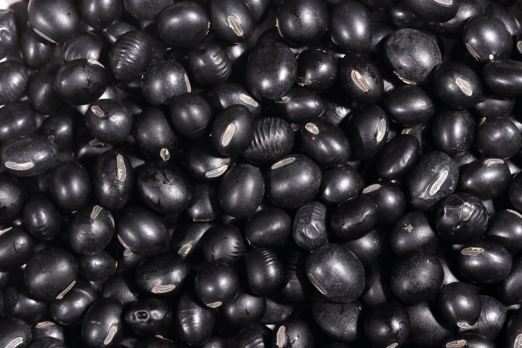 25 Sweet BLACK JET SOYBEAN Edamame Bean Glycine Max Vegetable Legume Seeds