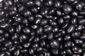 25 Sweet BLACK JET SOYBEAN Edamame Bean Glycine Max Vegetable Legume Seeds