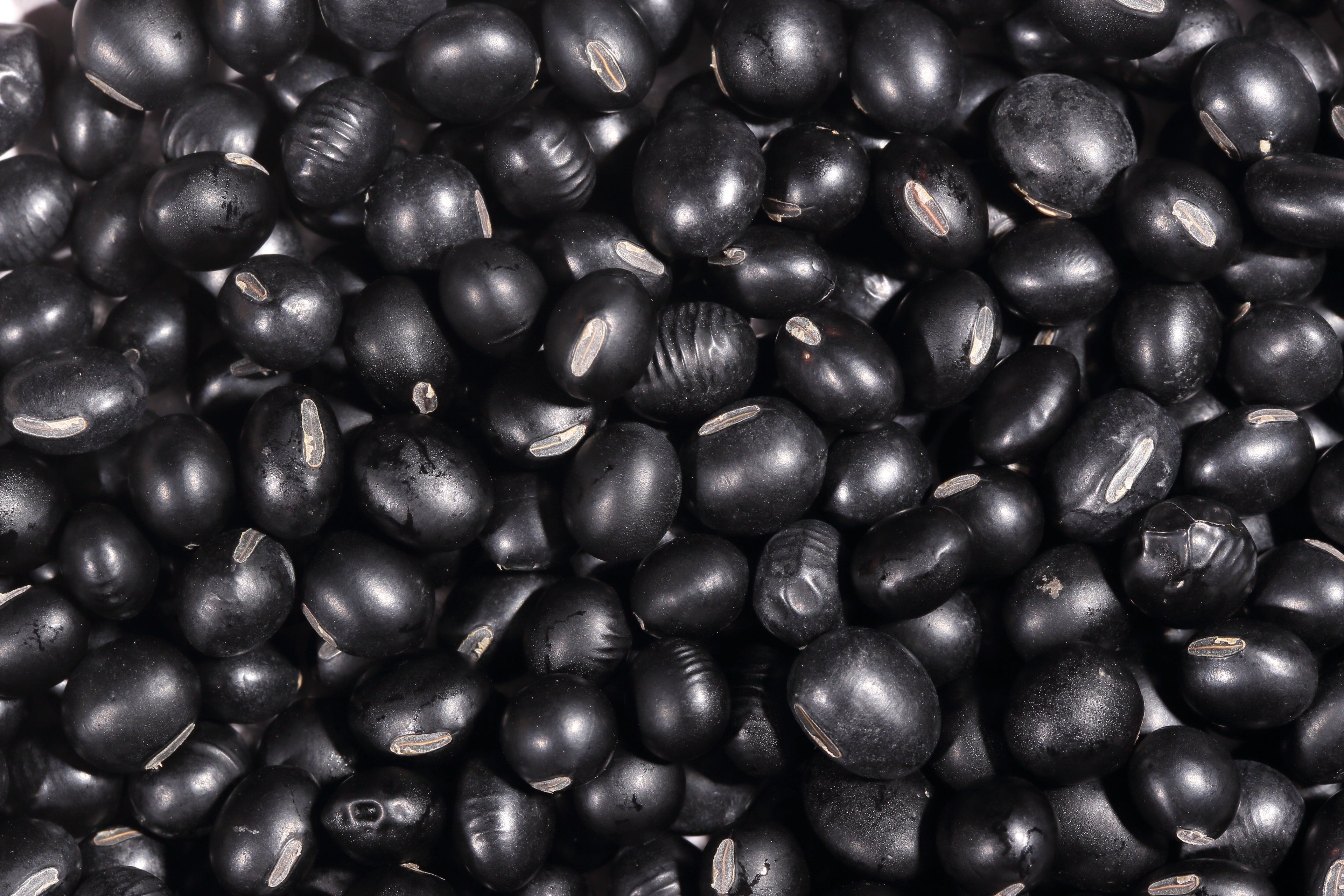 25 Sweet BLACK JET SOYBEAN Edamame Bean Glycine Max Vegetable Legume Seeds