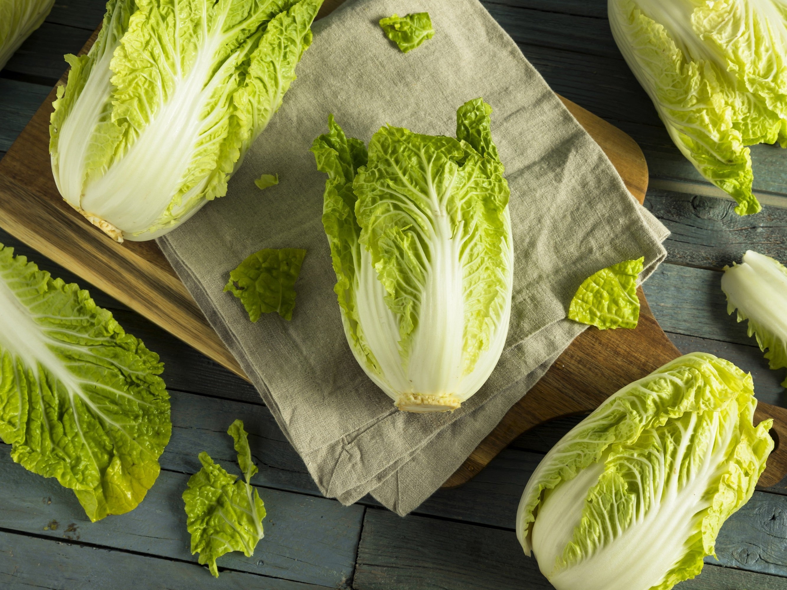 500 MICHIHILI CABBAGE Napa (Chinese Cabbage / Bok Choy / Pak Choi / Celery Mustard / Chinese Chard) Brassica Rapa Chinensis Vegetable Seeds