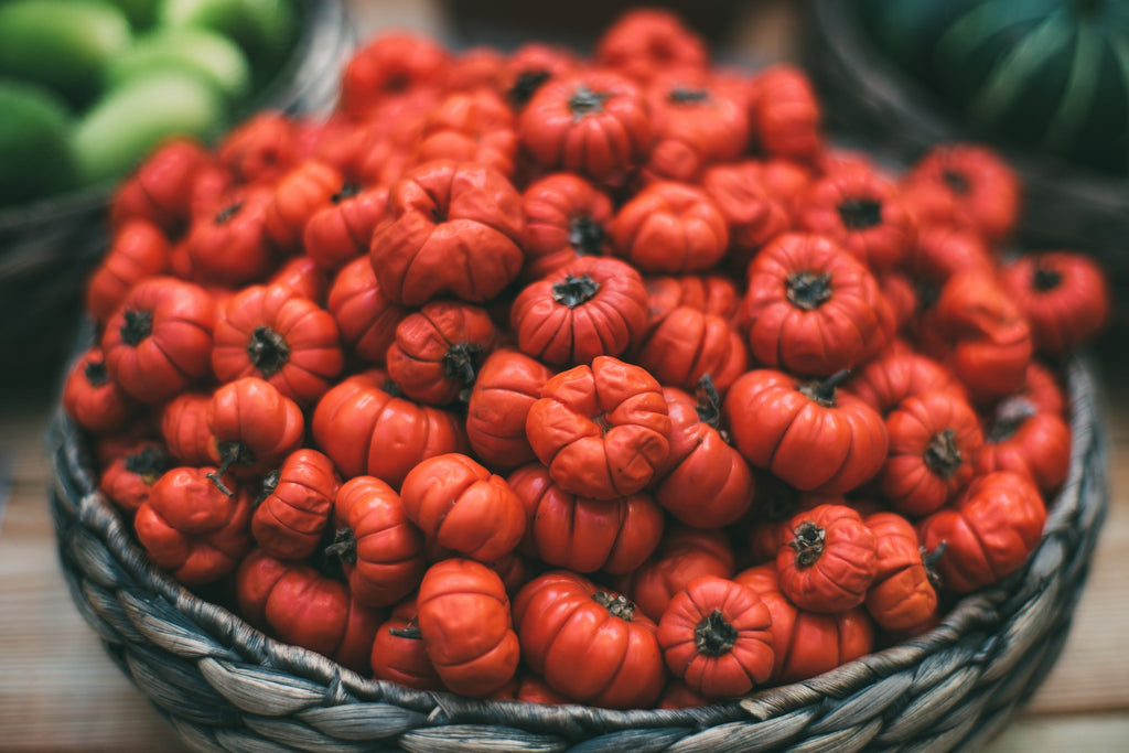 25 TURKISH ORANGE EGGPLANT Scarlet Solanum Aethiopicum Fruit Vegetable Seeds