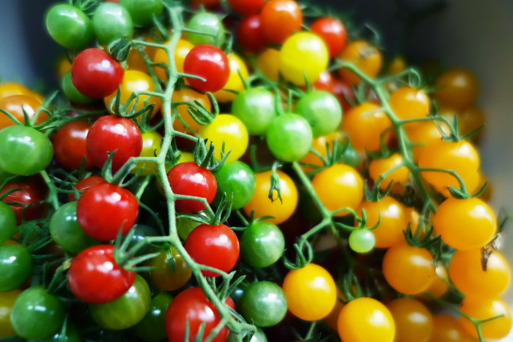 100 Red SWEETIE CHERRY TOMATO Super Sweet 1" Lycopersicon Fruit Vegetable Seeds