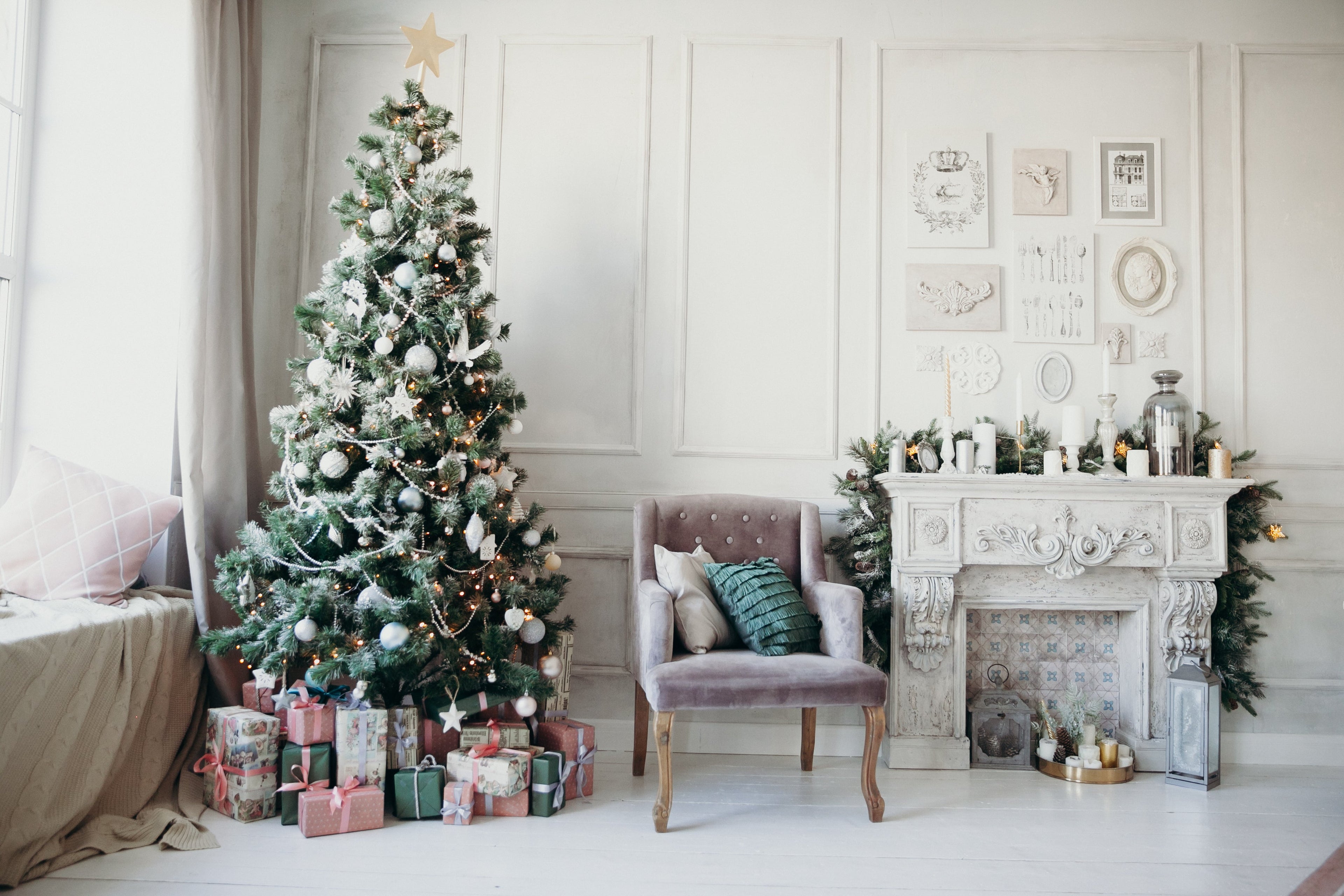 Grow Your Own CHRISTMAS TREE COLLECTION - 4 Gift Packets of Tree Seeds - Fraser Fir, Balsam Fir, Douglas Fir, & Blue Spruce + Free Gift Bag