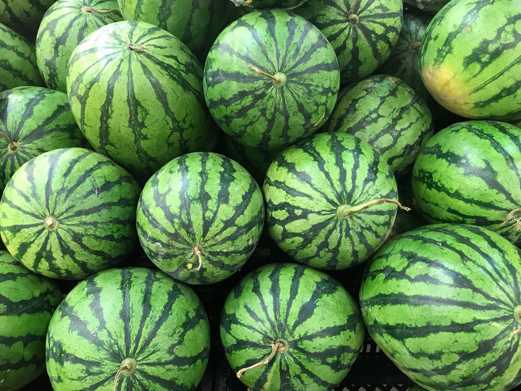 100 CRIMSON SWEET WATERMELON Citrullus lanatus Fruit Melon Seeds