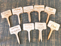 Plant Stakes small size